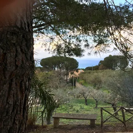 Villa Del Bergamotto Cefalu